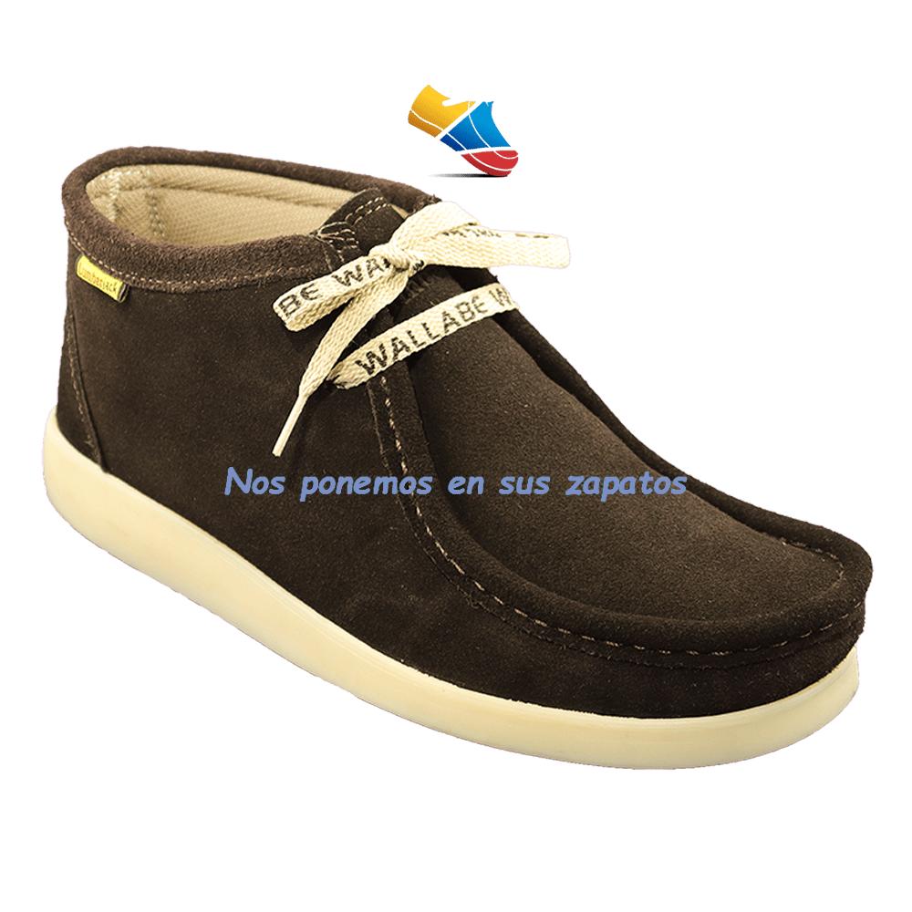 Zapato 1